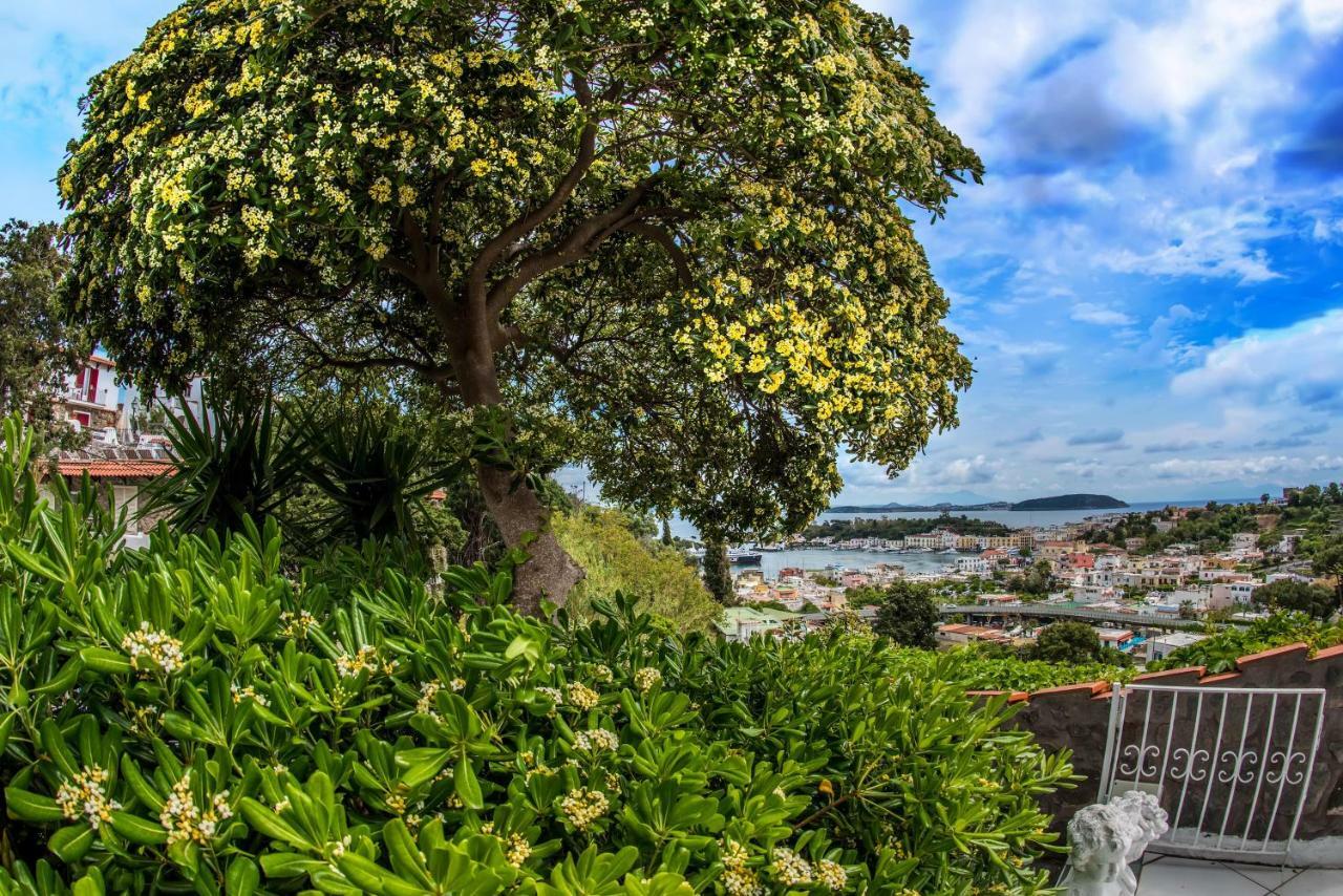 Ischia Dream Visionsアパートメント エクステリア 写真